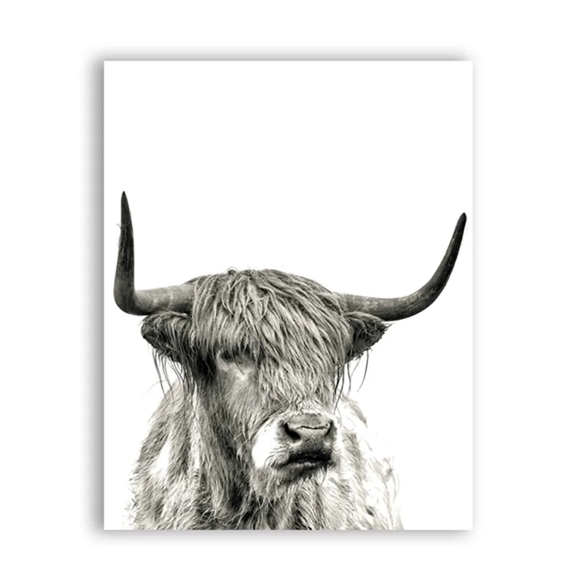 

Highland bull yak 5D Diamond Embroidery Diy diamond painting cross stitch full square round drill farm animals home decor ZP-749