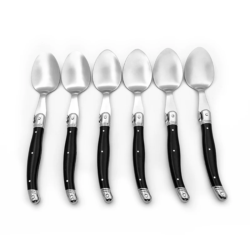 Black dinner spoon set  (6)