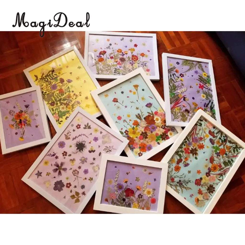 6 Pieces Pressed Natural Real Dried Flowers Sunflower for DIY Resin Ornament Craft Christmas Xmas Card Making Decoration