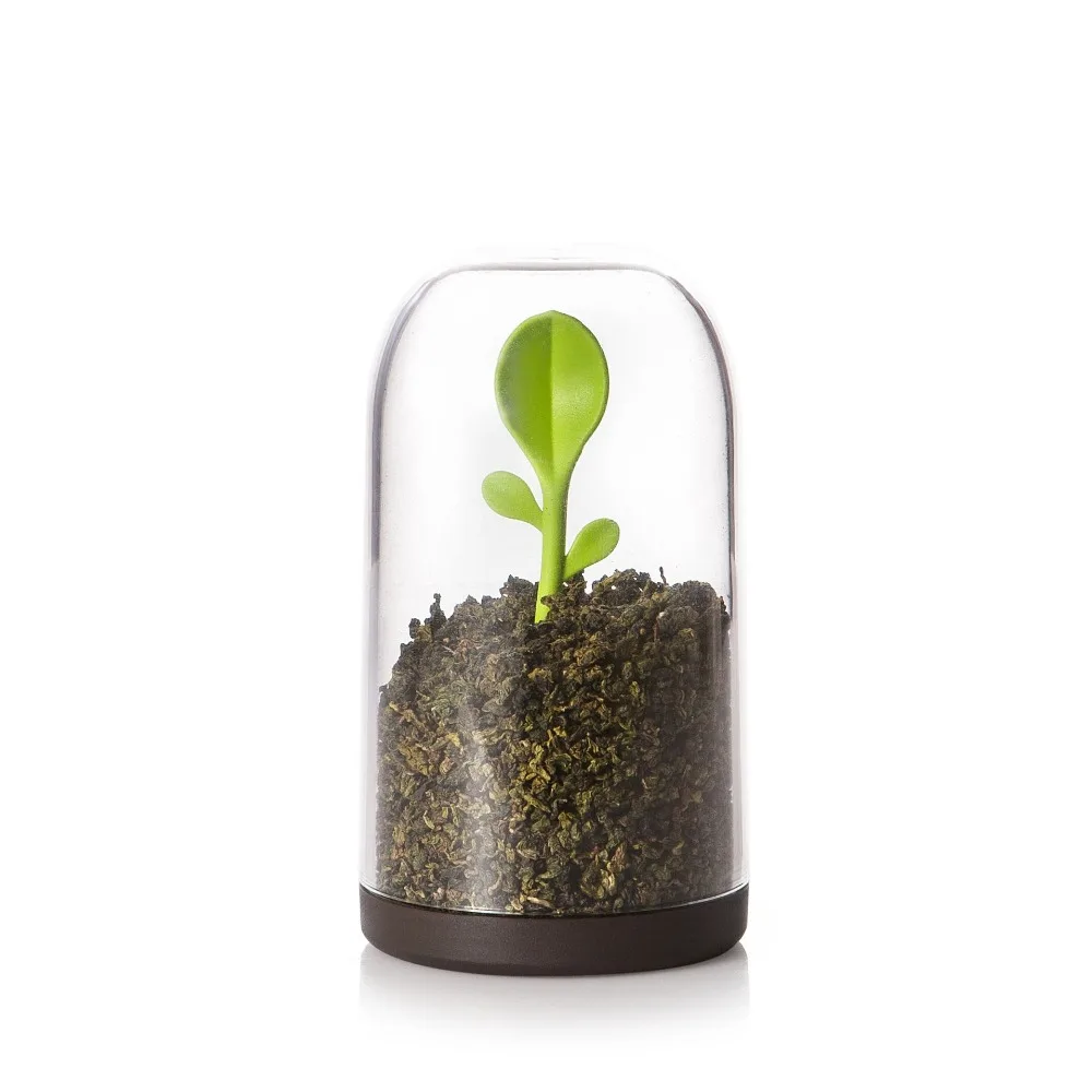 Sprout Jar coffee tea storage container with spoon clear dome