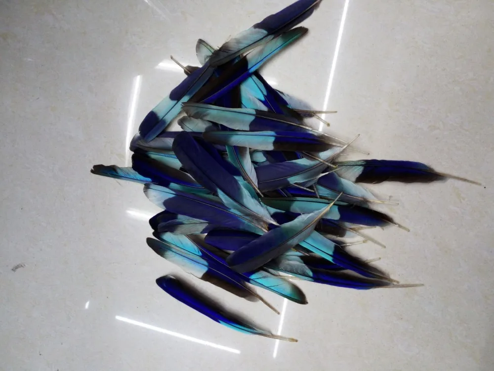 Wholesale the sale of 20pcs, 10 15cm kingfisher feathers/Giant