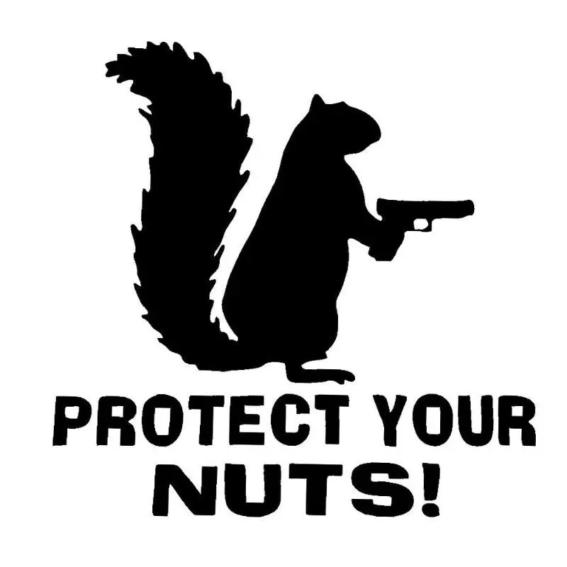 

PROTECT YOUR NUTS Car Windscreen Panel Bumper Car Truck Reflective Sticker