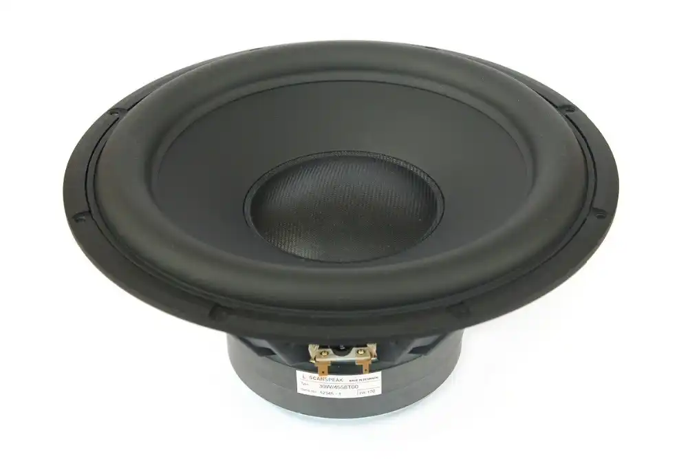 12 inch woofer