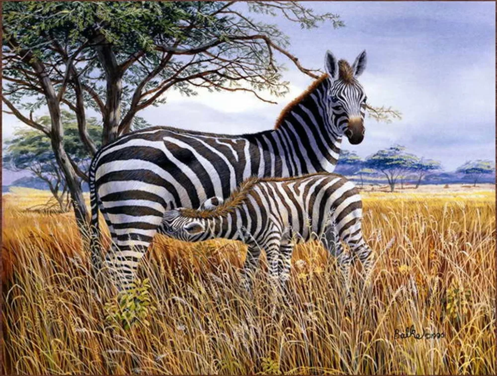 Buy Home Decor Art Oil Painting Drawn Printed Zebra On Canvas For Picture HD
