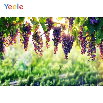 

Yeele Grape Orchard Forest Sunshine Summer Holiday Photography Backgrounds Customized Photographic Backdrops for Photo Studio