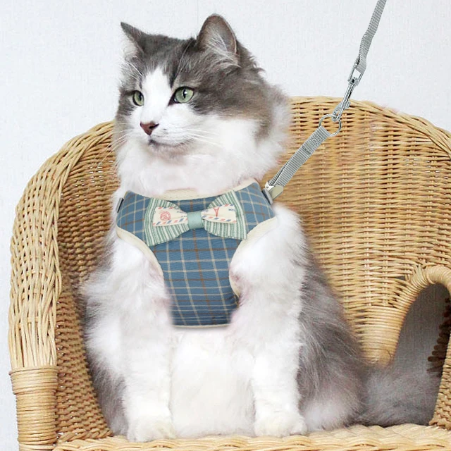 Cute Cat Nylon Harness  3