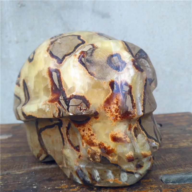 

Natural septarium crystal skull