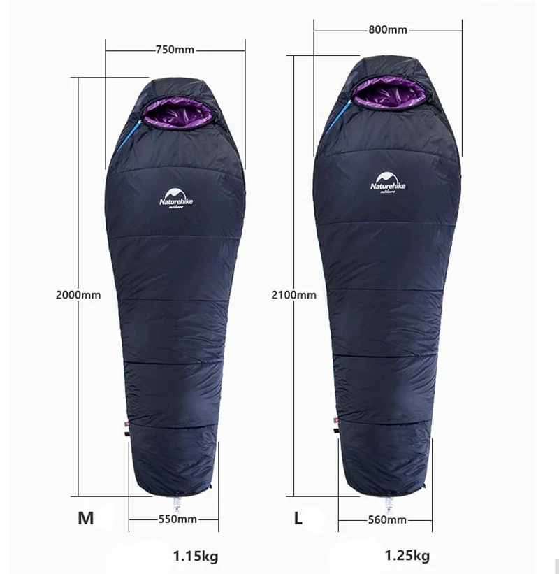 b2