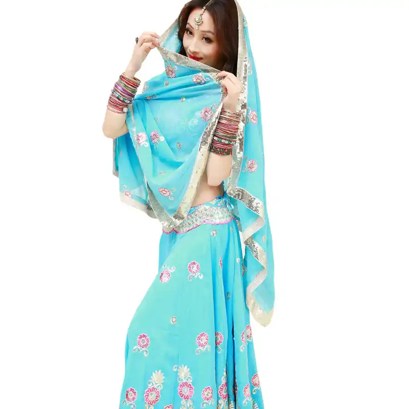 sari skirt and top