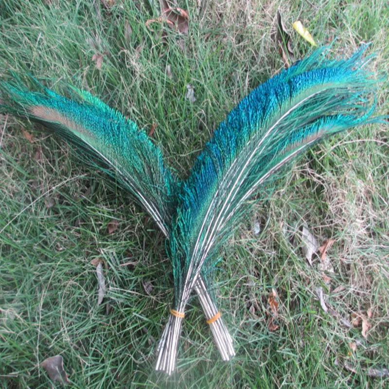Wholesale beautiful Naturally peacock feather sword 500 pcs symmetrical