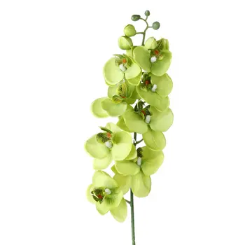 

1 Branch Butterfly Orchid Artificial Flower For Home Decoration Wedding - Green