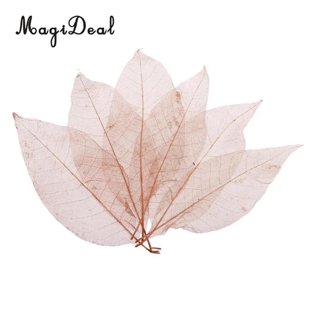 100Pcs Magnolia Skeleton Leaf Scrapbook Decoration Leaves Blue and Brown Decorative DIY Craft Leafs Artwork Embellishment