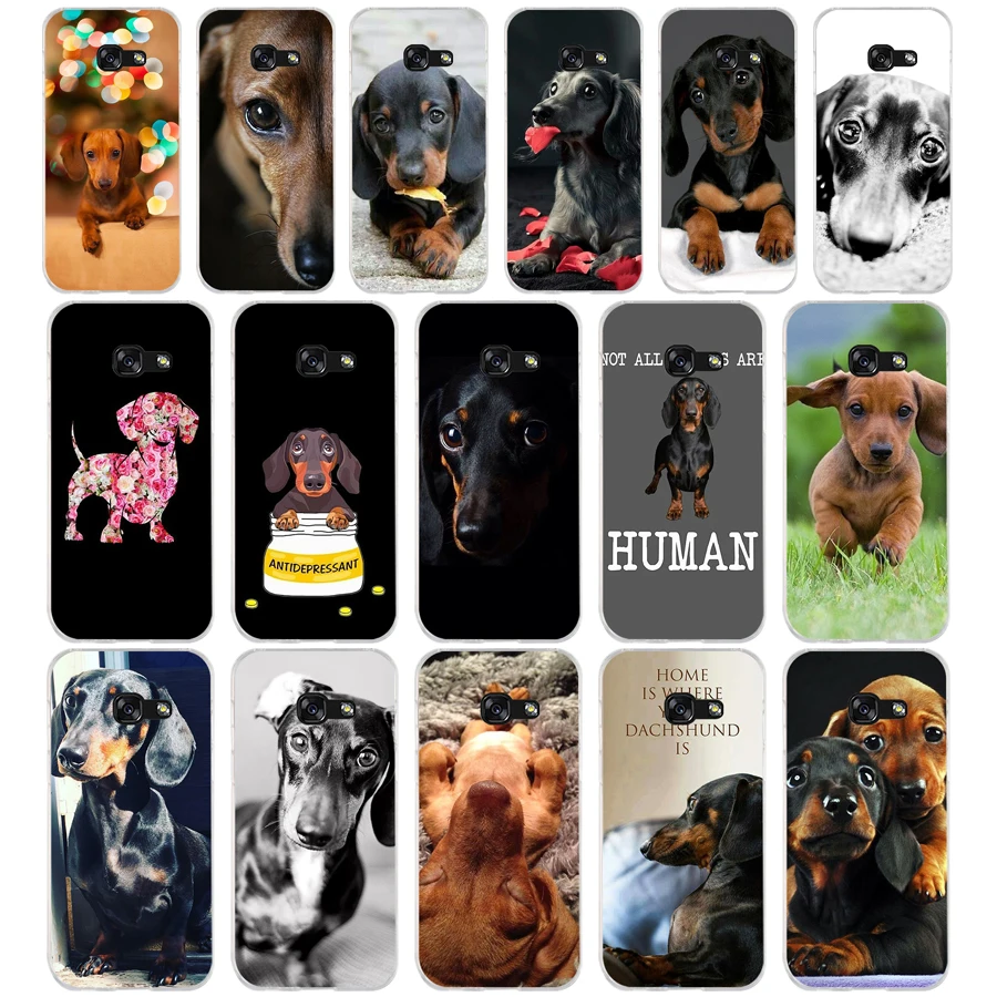 

145SD Dachshund Teckel DackelSoft Silicone Tpu Cover phone Case for Samsung a3 2016 a5 2017 a6 plus a7 a8 a9 star lite s 6 7 8 9