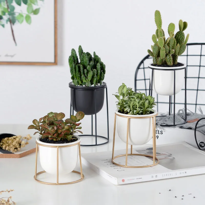 

Set of 3pcs Modern Flowerpots Succulent Plant Pot with Black Golden Iron Shelf Home Decor Planter Garden Pot
