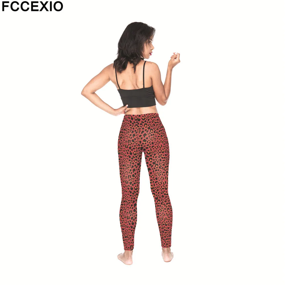 54674 red leo (7)