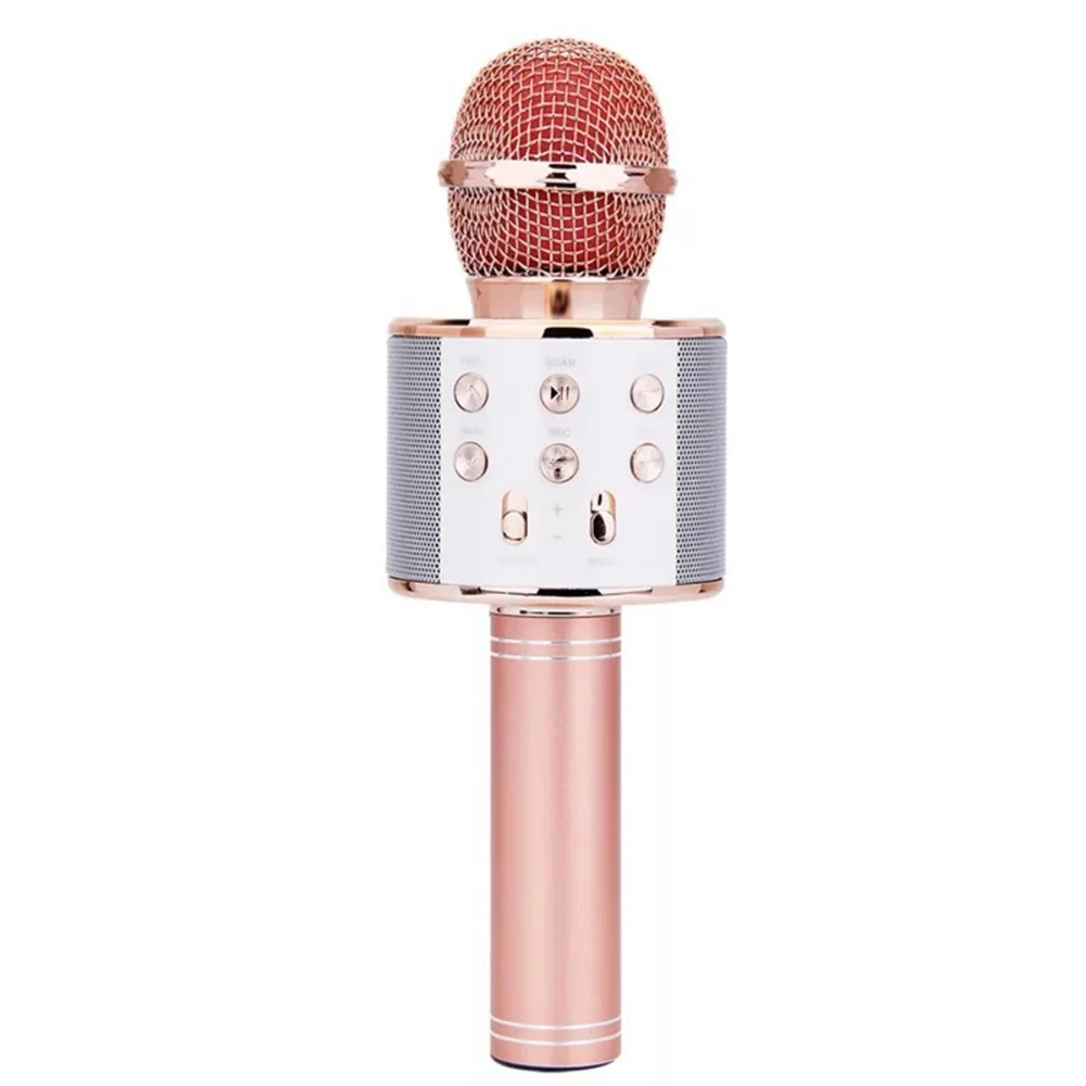 rechargeable microphone and speaker
