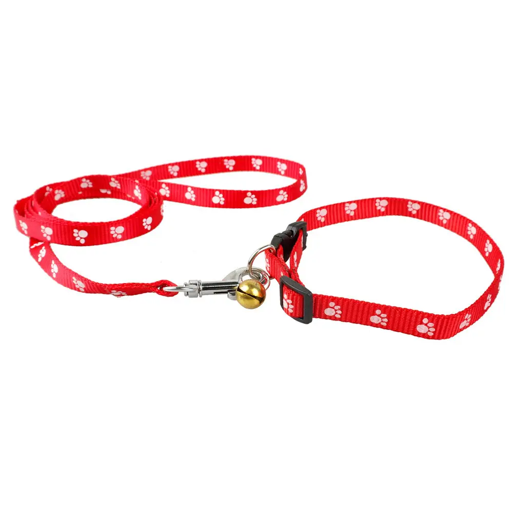 puppy leash and collar set