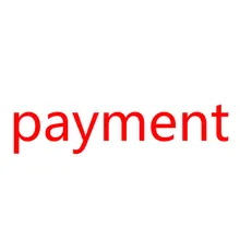 Список платежей для версии R4ISDHC R4 TF SD карта адаптер Золотой Pro Белый и серебристый