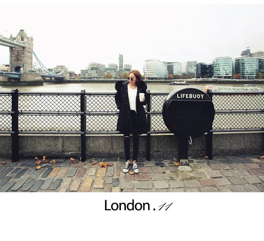 3491204071_231277194