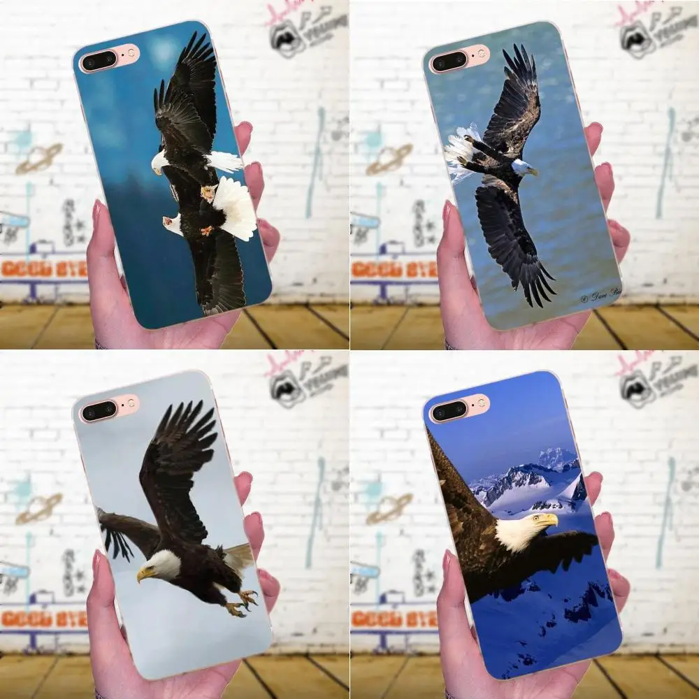 Мягкий чехол из ТПУ Eagles Flying Dominant для Apple iPhone X XS Max XR 4 4S 5 5C 5S SE 6 6S 7 8 Plus | Мобильные