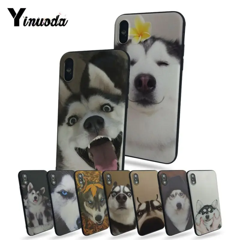 Yinuoda Husky cute чехол для телефона iPhone11 Pro Max 8 8plus 7 7plus 6 6plus 5 5s 5c SE Чехол мобильного