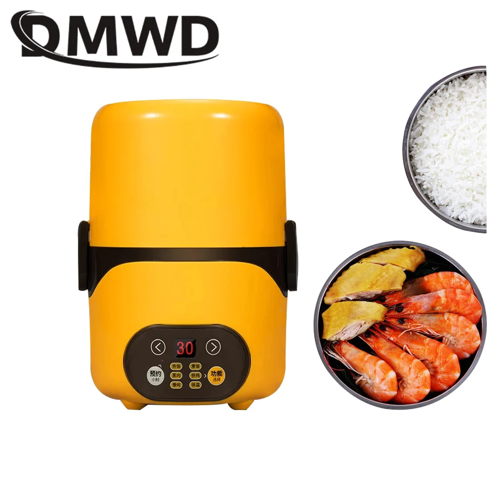 DMWD Multifunction Electric Lunch Box 2 Layers Food Warmer Mini Rice