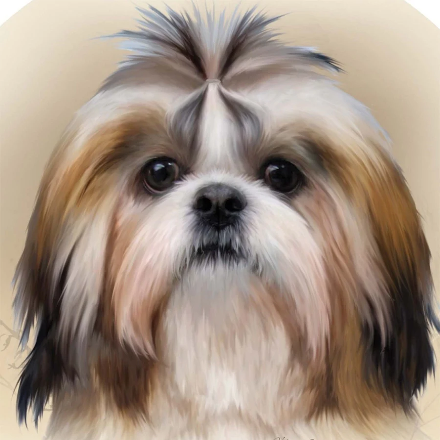 

Diamond rhinestone DIY 5D Diamond Painting Shih Tzu dog Cross Stitch Diamond Embroidery paintings 3d picture mosaic home decor