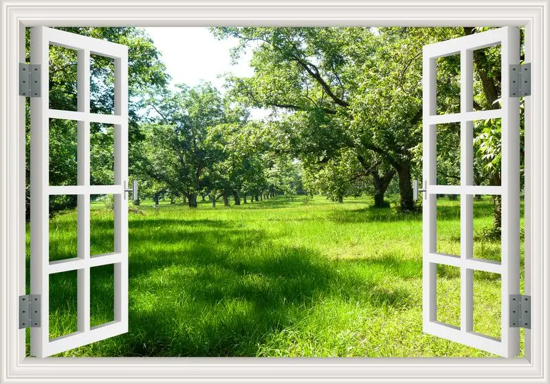 3D окно вид лес настенный стикер с пейзажем стены искусства Съемный Спальня Зеленый Золотой дерево лес обои кухня стикер - Цвет: 4