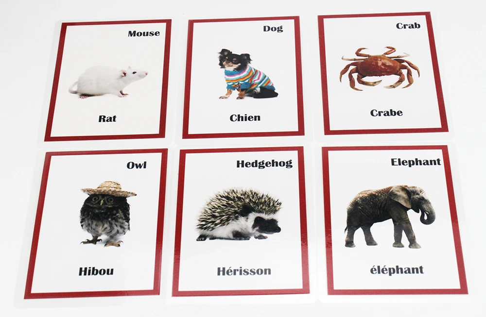 Educativos para Crianças Brinquedos para Crianças Francês Inglês Animais Aprendizagem Flashcards Cartão Jogos Juguetes Educativos 30pcs - 13 Cartão Jogos Educativos para Crianças Crianças Juguetes