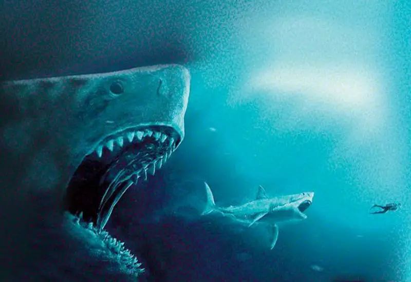 Square/round drill diamond painting shark puff food full 3D diamond