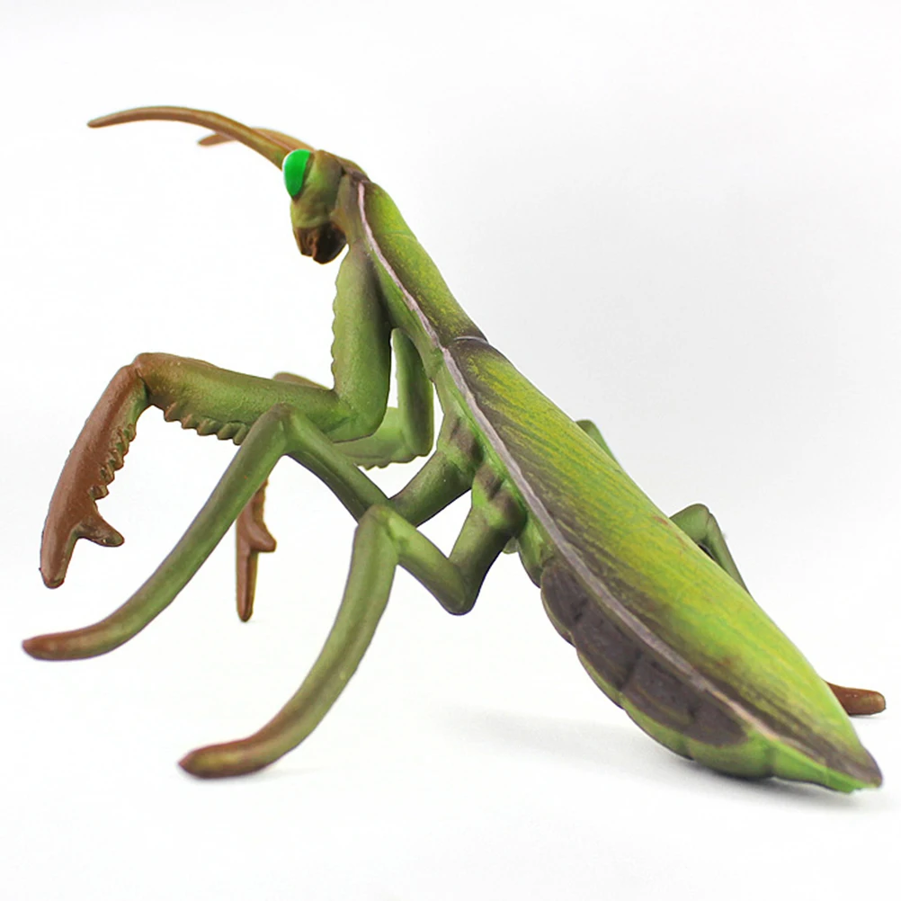 Фигурка Mantis модель насекомого, реалистичное ремесло, подарочные украшения, коллекция игрушек, настольные украшения для дома и офиса