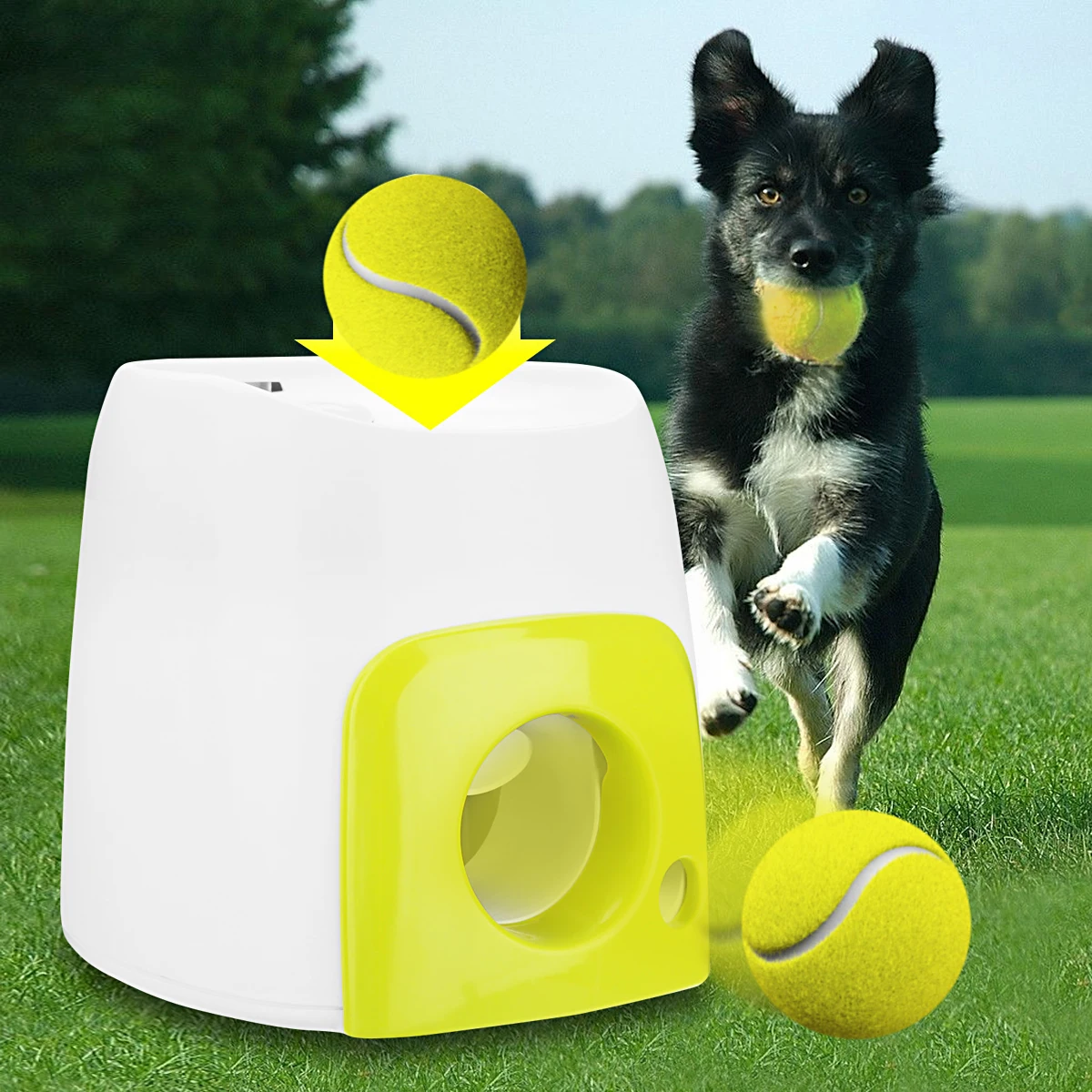 Игрушка для домашних собак, автоматический интерактивный мяч, пусковая установка, теннисный мяч, выкатывается машина, запуск, извлечение мячей, инструмент для тренировки собак