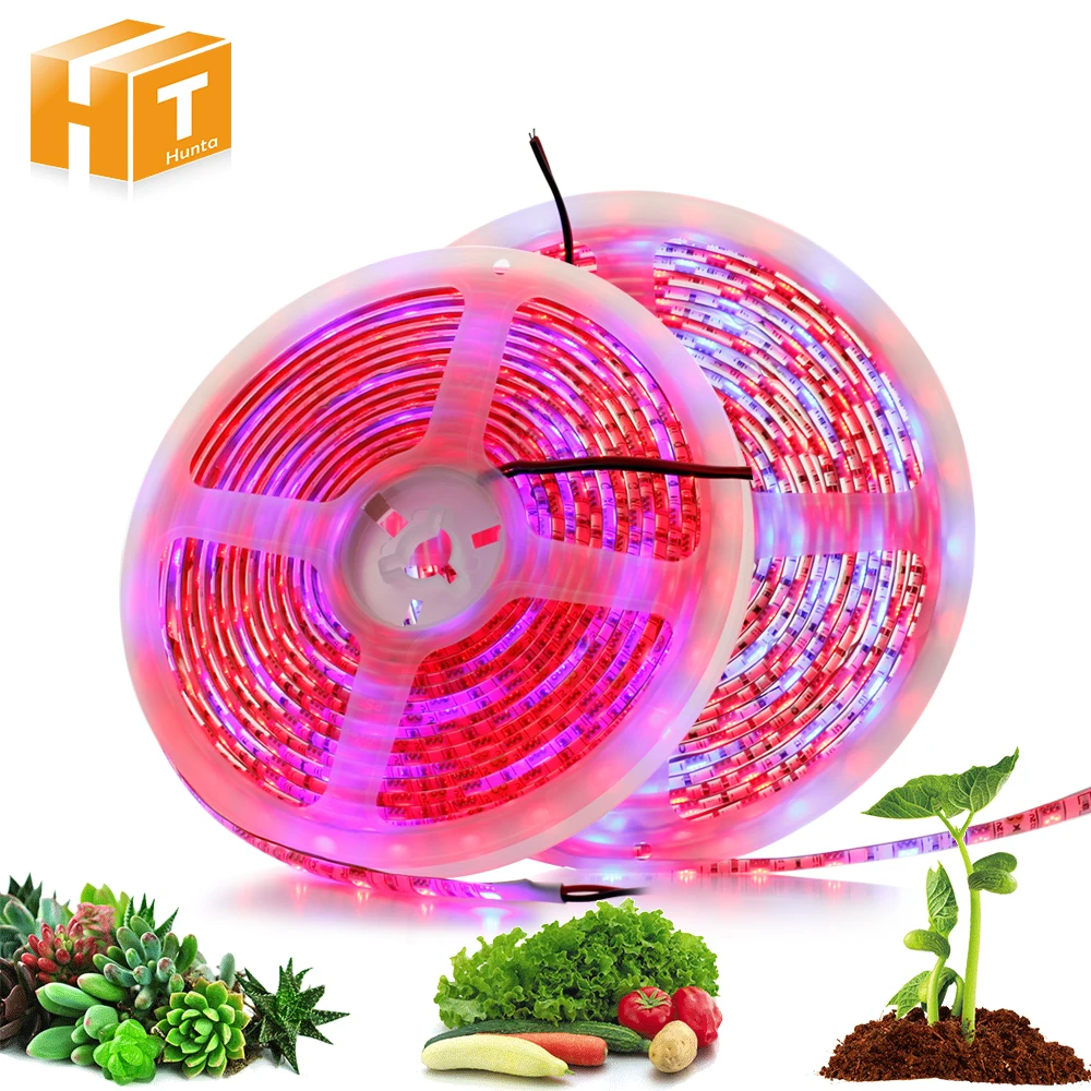 LED Strip Grow Light Grow DC12V DIY Flexible LED Strip 5050 Red Blue 3:1 / 4:1 / 5:1 For Greenhouse Hydroponic Plant Growing.