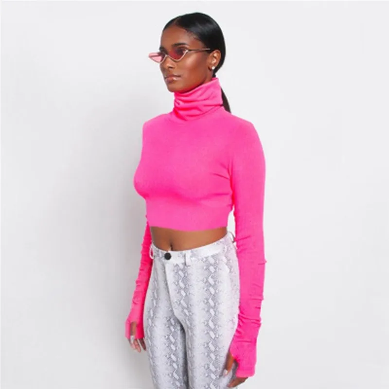 

US Stock Women Turtle Neck Crop Top Ladies Long Sleeve Plain T-shirt