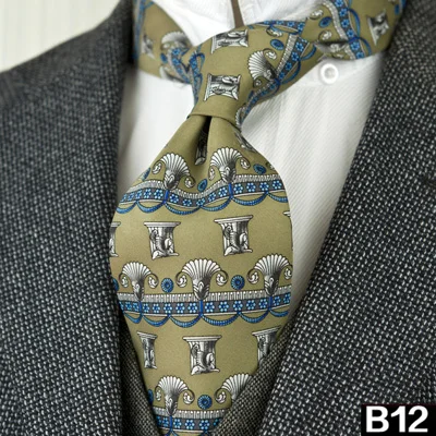 Мужские галстуки с принтом, шелк, винтажные Цветочные абстрактные персонажи, геометрические Пейсли, многоцветная печать, элегантные, ручная работа - Цвет: B12