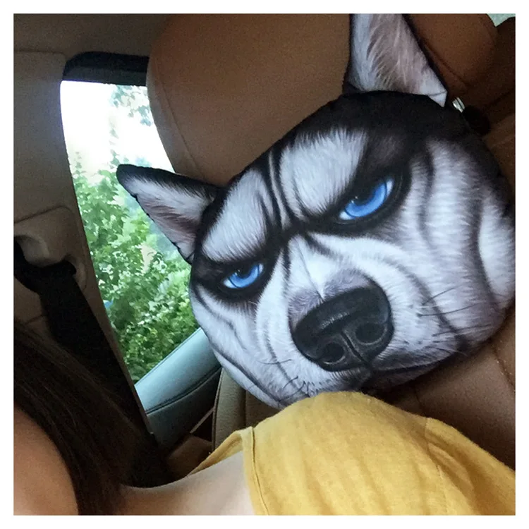 3427089766_226949168