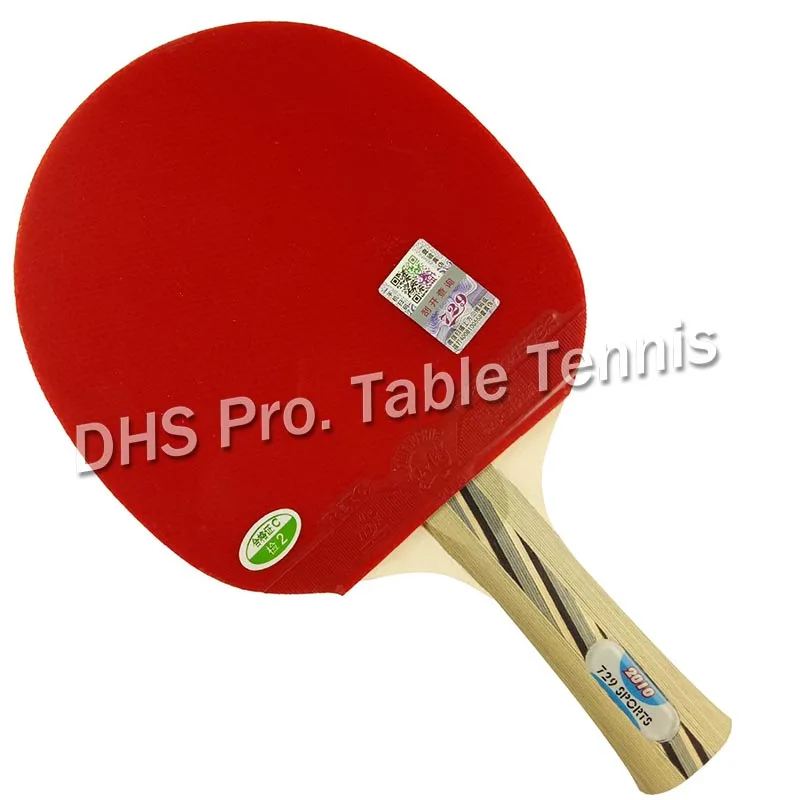 RITC 729 2010 # pips-in настольный теннис pingpong ракетка + летучая мышь чехол Shakehand длинная ручка FL