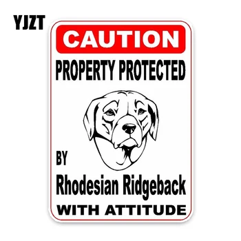 

YJZT 11.4*16CM Property Protected By Rhodesian Ridgeback Dog Car Decoration Bumper Window Sticker C1-4732