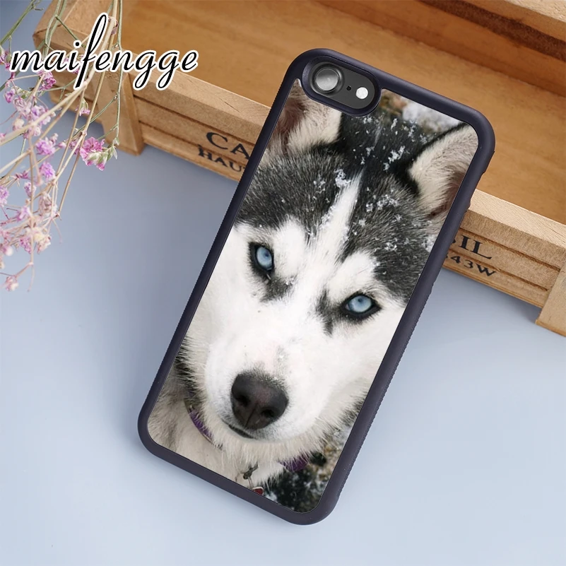 maifengge lovely Siberian French Schnauzer Husky Case For iPhone 5 6 7 8 plus 11 12 Pro X XR XS Max Samsung Galaxy S7 S8 S9 | Мобильные