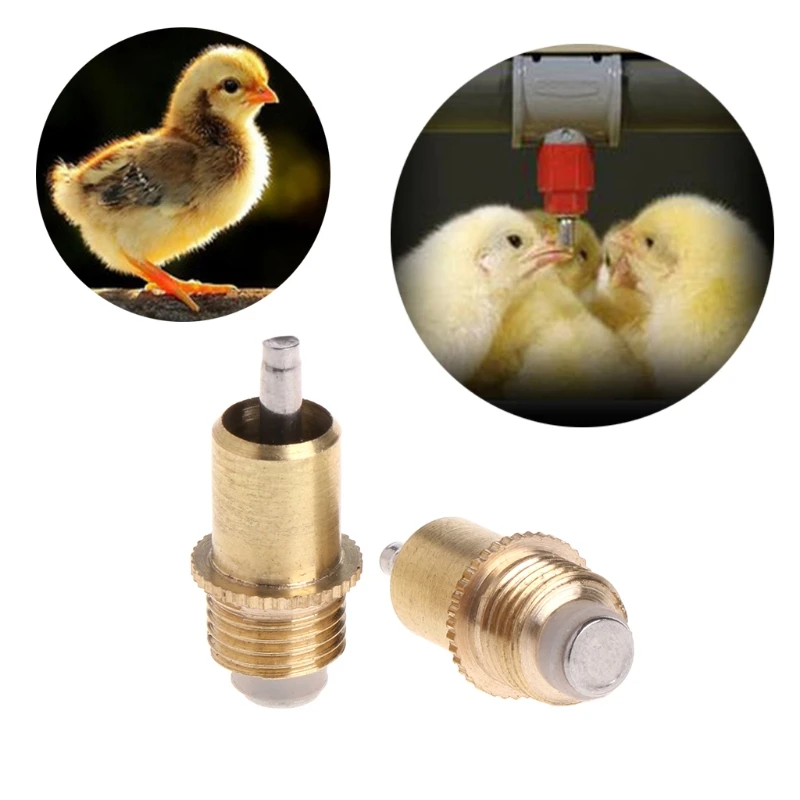 

5 Pcs Poultry Chicken Rabbit Automatic Water Drinking Screw In Type Drinker Nipples Feeders