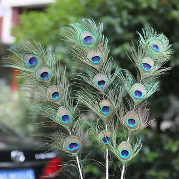 

Wholesale 70-120cm 27-47" Natural 5 BIG EYES Peacock feathers DIY series Fashion accessories Home Furnishing flower 50pcs/lot