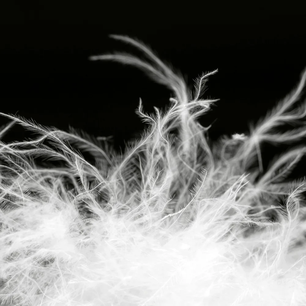 Comprar Naturehike Outdoor down pants impermeable wear hombres mujeres montañismo camping cálido invierno blanco ganso abajo pantalones sin talla S, L