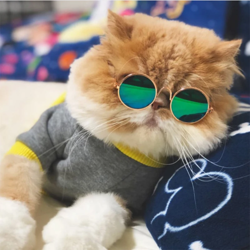 

Pet sunglasses sunglasses Teddy dog cat glasses Pet accessories fashion funny headwear cat glasses A10897