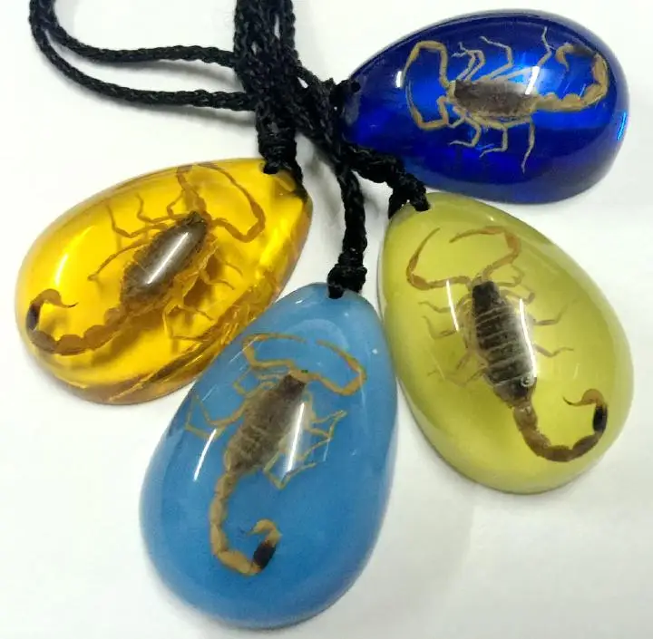 

FREE SHIPPING 12 Pendant Genuine Real Golden Scorpion Mix Color Drop Jewelry