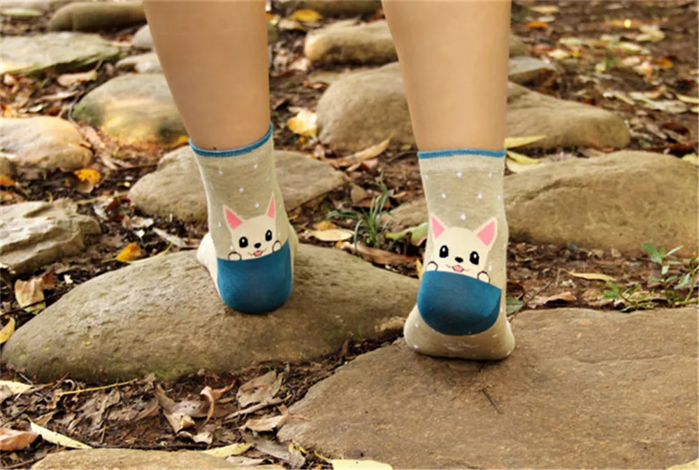 1653768160_1749542698