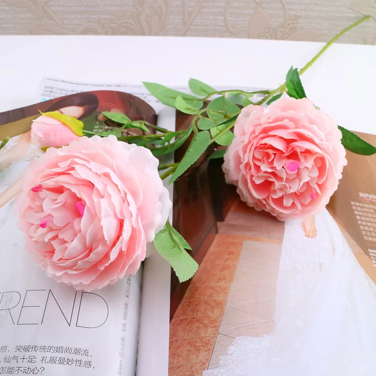 4950213236_1735480233