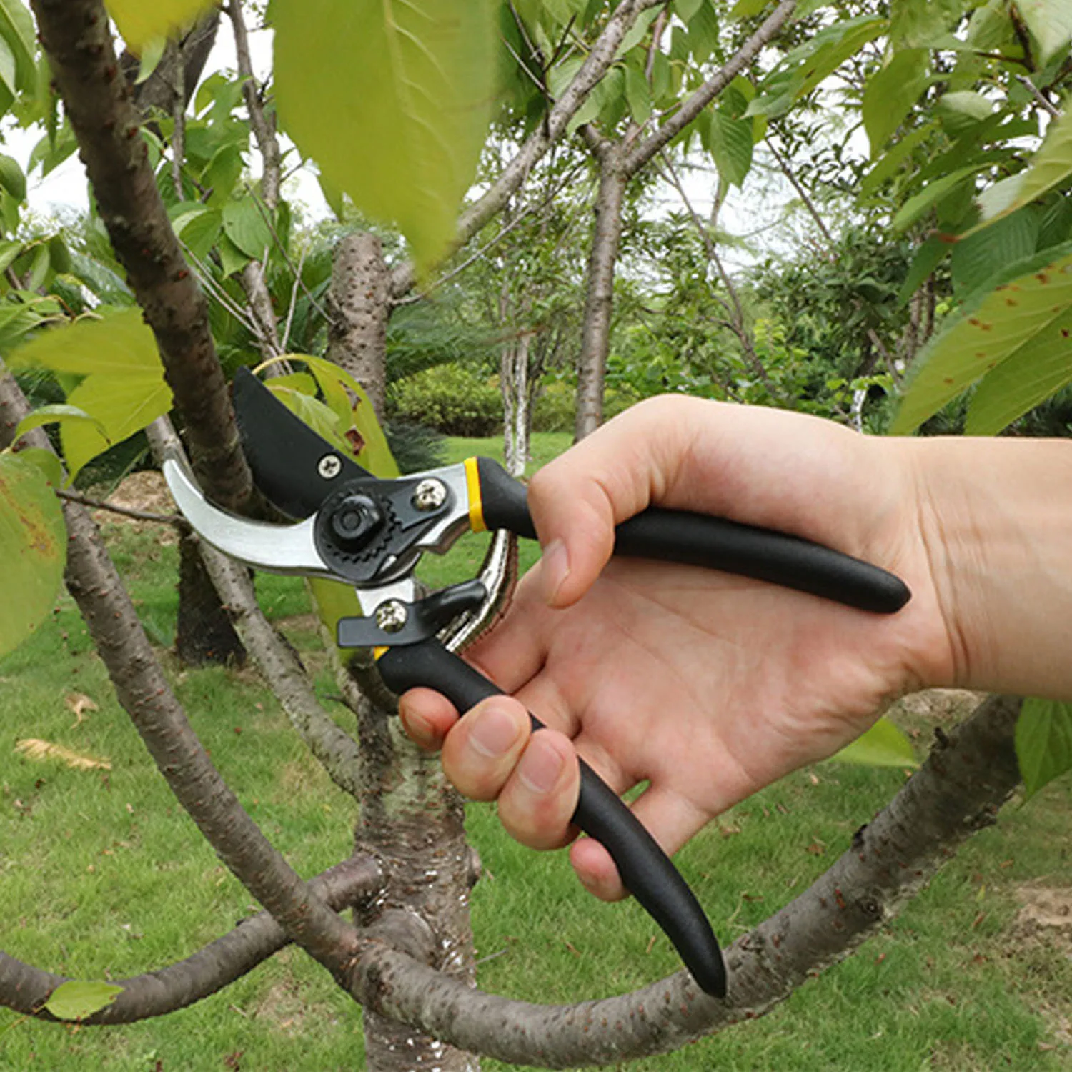 

Behogar Professional Heavy Duty Garden Hand Pruner Pruning Shears Clippers with Safety Lock Soft Handle Accessories Clip Tools