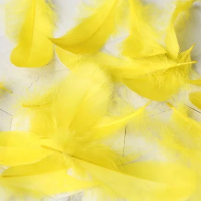 Рафинированные высококачественные натуральные перья цветные маленькие гусиные перья 3-8 см реквизит для фотосъемки фон DIY Украшение