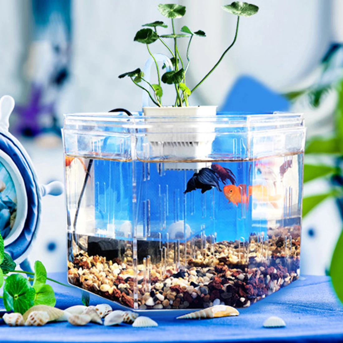 

New Hot Trend Bettas Fish Tank With Flower Basket Pump Pipe Fixed Plate Household Pump Kit