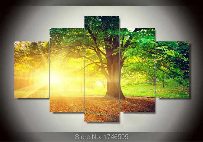 green trees among Yellow Sun